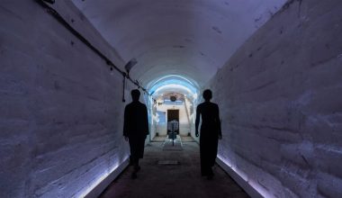 Γιατί οι κοινωνίες συνηθίζουν την παρακμή